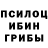 Галлюциногенные грибы Psilocybe 3Hak