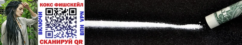 блэк спрут tor  Ладушкин  Cocaine Fish Scale 