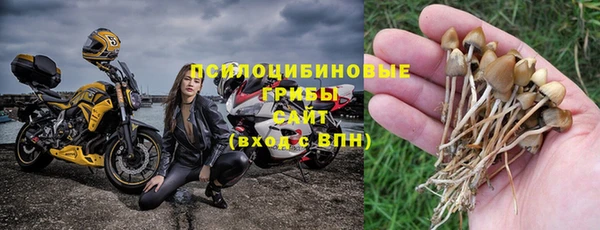 винт Магас